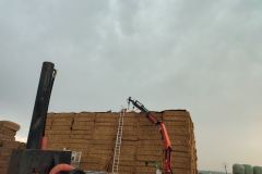 IMG_20220722_200843-1